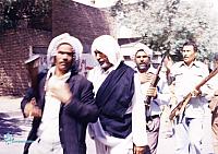 razmandegan (708)