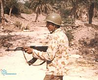razmandegan (72)