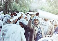 razmandegan (772)