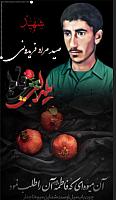 shahid313 (148)