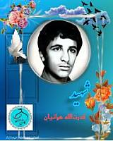 shohadaedamghan (10)