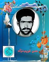 shohadaedamghan (20)