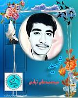 shohadaedamghan (3)