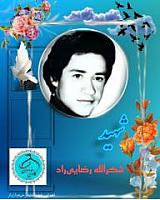 shohadaedamghan (5)
