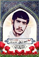 photo 2024-07-13 14-42-49