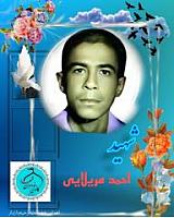 shohadaedamghan (19)