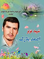 شهید احمد پلارک