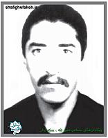 شهید حامد احمدی