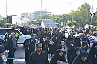 shahidekhemat (51)