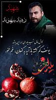 shahid313 (25)