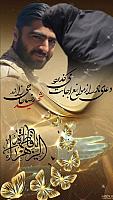 shahid313 (34)