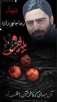 shahid313 (36)