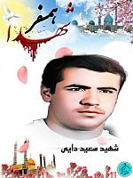 آلبوم اختصاصی تصاویر شهید سعید دایی . کد 1403189 آ