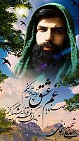 shahid313 (94)