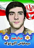آلبوم اختصاصی تصاویر شهید سید فیاض آلبوشوکه . کد 1403141090