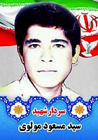 آلبوم اختصاصی تصاویر شهید سید مسعود مولوی . کد 1403141010116 آ