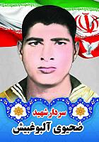 آلبوم اختصاصی تصاویر شهید ضحیوی آلبوغبیش . کد 1403141071 آ