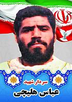 آلبوم اختصاصی تصاویر شهید عباس هلیچی . کد 1403141010129 آ