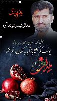 shahid313 (174)