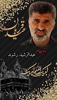 shahid313 (181)