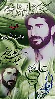shahid313 (219)
