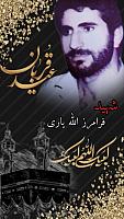 shahid313 (221)