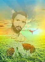 shahiddahaghani (11)