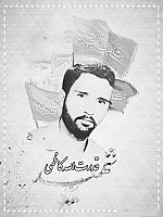 shahiddahaghani (3)