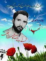 shahiddahaghani (7)
