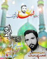 shahiddahaghani (9)