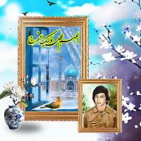 شهید مجید زارعی