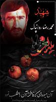 shahid313 (336)