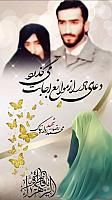 shahid313 (338)