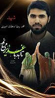 shahid313 (333)