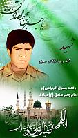 shahid313 (344)