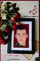 شهید محمد امینی