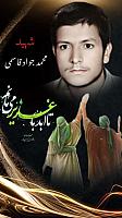 shahid313 (275)