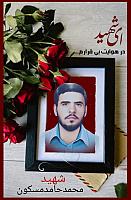 شهید محمد حامد مسکون