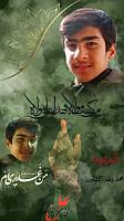 shahid313 (293)