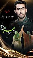 shahid313 (311)