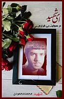 آلبوم اختصاصی تصاویر شهید محمد محمودی . کد 140314111 آ