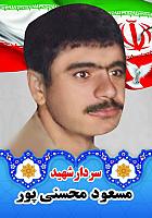 آلبوم اختصاصی تصاویر شهید مسعود محسنی پور . کد 1403141091 آ