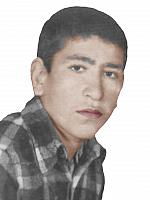 seyed ahmad eftekhary