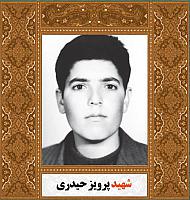 آلبوم اختصاصی شهید پرویز حیدری . کد ۱۴۰۰۵۰۵۰۱۸ آ