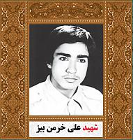 آلبوم اختصاصی شهید علی خرمن بیز . کد ۱۴۰۰۵۰۵۰۷۴ آ