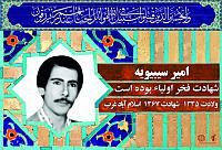 آلبوم اختصاصی شهید امیر سیبویه . کد 0211322163 آ