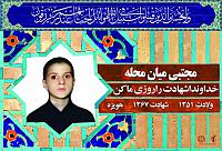 آلبوم اختصاصی شهید مجتبی میان محله  . کد 0211322179 آ