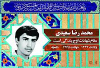 آلبوم اختصاصی شهید محمد رضا سعیدی . کد 0211322199 آ