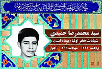 آلبوم اختصاصی شهید سید محمد رضا حمیدی . کد 0211322220 آ