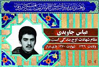 آلبوم اختصاصی شهید عباس جاویدی . کد 0211322211 آ